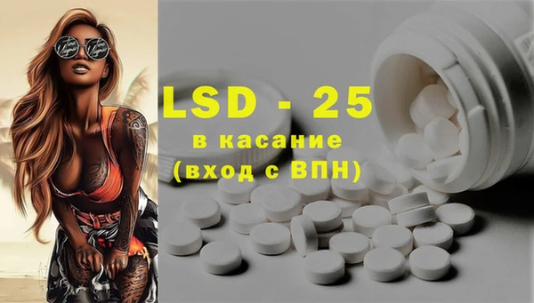 индика Нягань