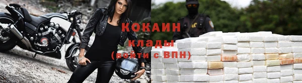 индика Нягань