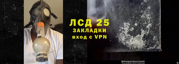 индика Нягань
