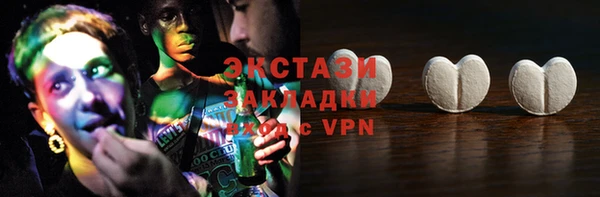индика Нягань