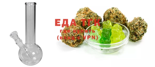 индика Нягань