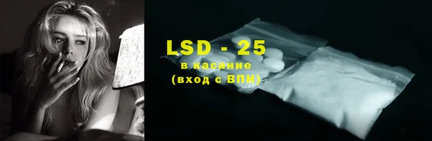 винт Осинники