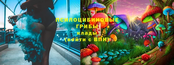 СК Няндома