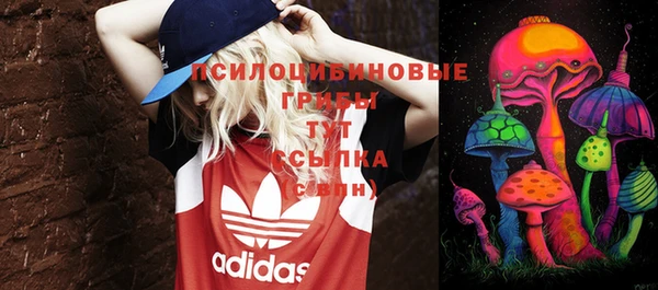 индика Нягань