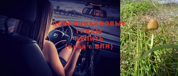 индика Нягань