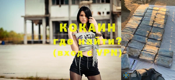 индика Нягань