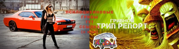 винт Осинники
