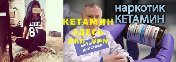 индика Нягань