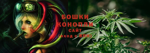 винт Осинники