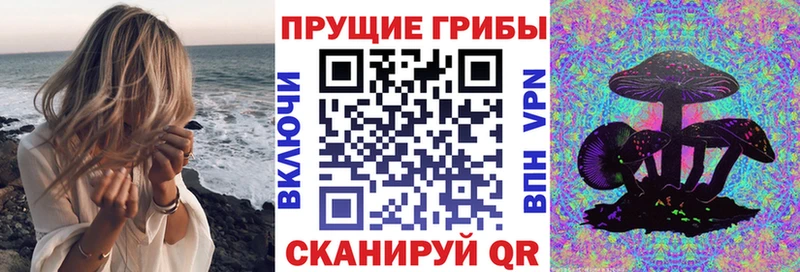 Псилоцибиновые грибы Cubensis  Крым 